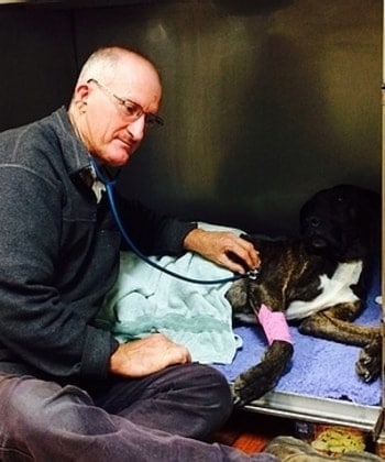 Dr Stephen Fogarty BVSc Animal Hospital Vets