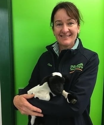 Gina Veterinary Nurse with goat