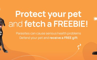 Protect your pet from parasites